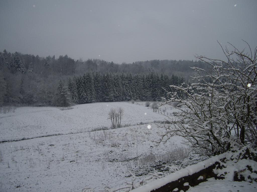 Auberge Du Ruxelier 3*
